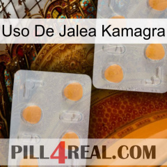 Kamagra Jelly Use 25